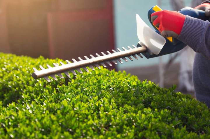 Divers outils de jardinage professionnels. Tondeuse, débroussailleuse, taille-haie, alignés dans un espace de location propre.
